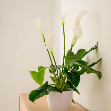 F8-2 Bedroom Ensuite *