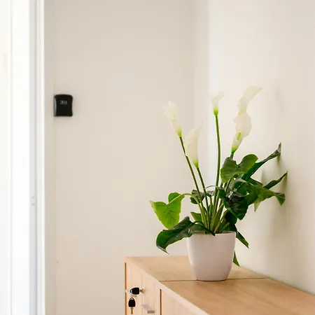 Проживание в семье F8-2 Bedroom Ensuite Слима