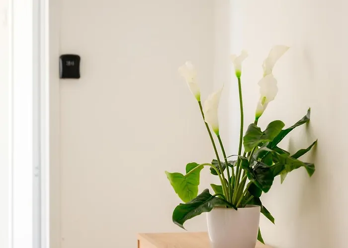 Habitación en casa particular F8-2 Bedroom Ensuite Sliema