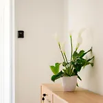Проживание в семье F8-2 Bedroom Ensuite Слима